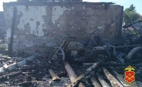 Кузбассовец из мести сжёг у соседа надворные постройки и около 50 животных 