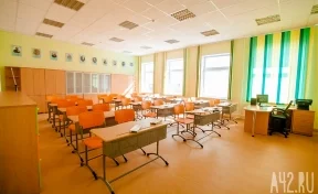 В кузбасской школе прокомментировали огромную очередь из детей на входе