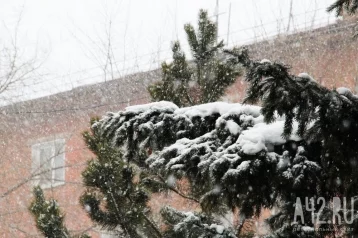 Фото: «Находимся под влиянием циклона»: синоптики рассказали, как долго в Кузбассе продержатся холода и снег 1