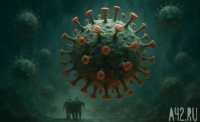 В Кузбассе ограничения по коронавирусу продлили ещё на 3 месяца