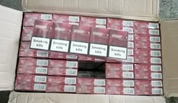 Фото: Кузбассовца осудили за продажу контрафактных сигарет на 2 млн рублей 1