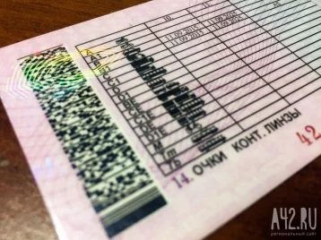Фото: Российские водители смогут предъявлять полис ОСАГО и водительские права в виде QR-кода 1