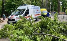 В саратовском горпарке рухнувшее дерево насмерть задавило женщину с ребёнком