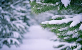 До -55 градусов: россиянам пообещали сильные морозы