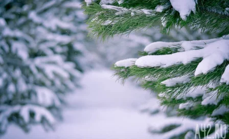 До -55 градусов: россиянам пообещали сильные морозы