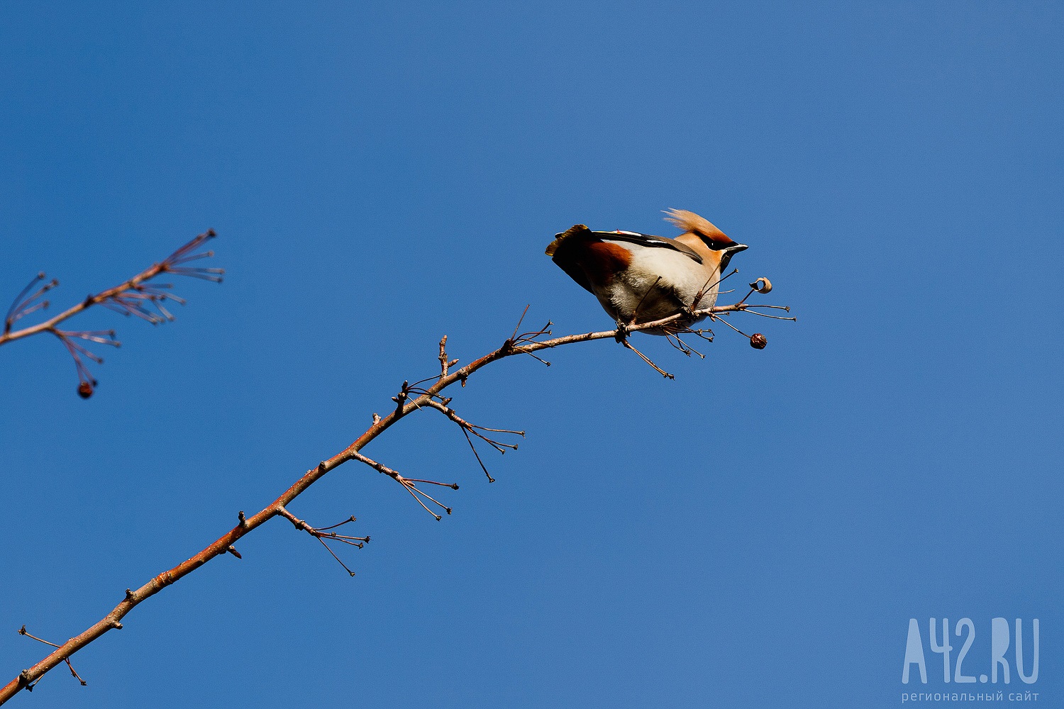 Прокопьев день: народные приметы на 5 декабря