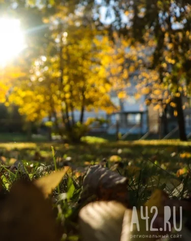 Фото: A42.RU