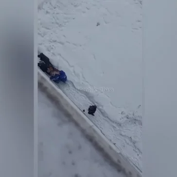 Фото: В Кемерове молодая женщина выпала из окна седьмого этажа 3