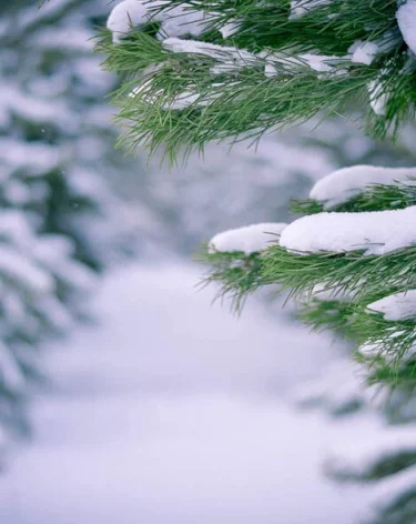 До -55 градусов: россиянам пообещали сильные морозы