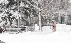 «Сводки все получают заранее»: губернатор Кузбасса отчитал глав муниципалитетов за уборку снега
