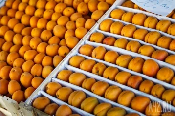 Фото: 185 тонн казахстанских фруктов не доехали до Кемерова 1