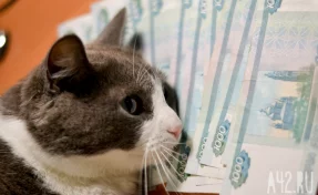 Пансионат в кузбасском городе выставили на продажу за 70 млн рублей