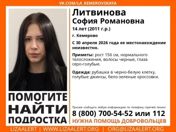 ПСО «Лиза Алерт» Кузбасс / «ВКонтакте»