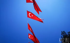 У берегов Антальи появились опасные медузы весом до 10 кг