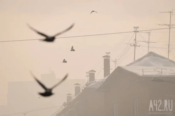 В Москве, Подмосковье и Самарской области ветер повалил более 2 000 деревьев