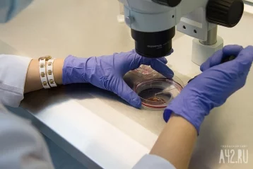 Фото: Учёные выявили опасную мутацию коронавируса, делающую его очень заразным 1