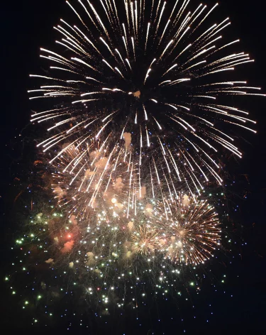 Подольская рассказала, сколько профессиональных праздников утверждено в России