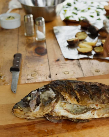 <p dir=ltr style=line-height: 1.86667; margin-top: 0pt; margin-bottom: 0pt; padding: 0pt 0pt 18pt;> </p>
<p><span style=font-size: 13.5pt; font-family: Arial, sans-serif; color: #454545; background-color: transparent; font-variant-numeric: normal; fo