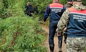 В Кузбассе туристка получила травму на Поднебесных Зубьях: потребовалась помощь спасателей
