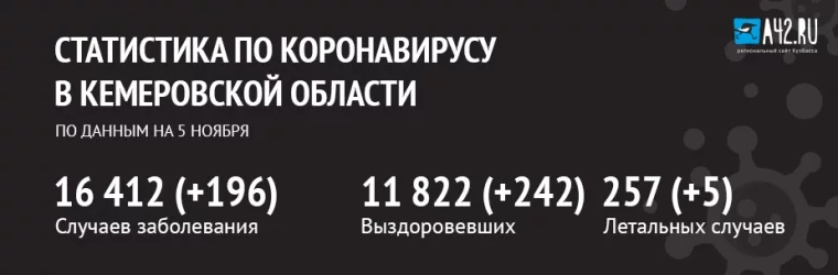 Фото: Коронавирус в Кемеровской области: актуальная информация на 5 ноября 1