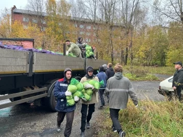 Фото: Более 9 тысяч семей получили бесплатные овощные наборы в Кузбассе 1