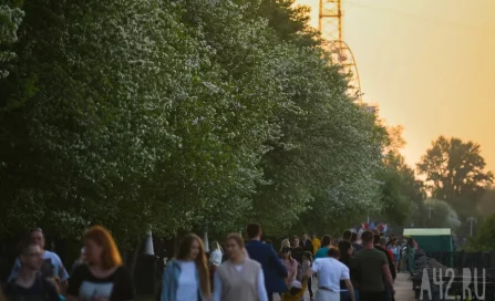 Многие взрослые живут с аутизмом и не знают об этом: их особенности