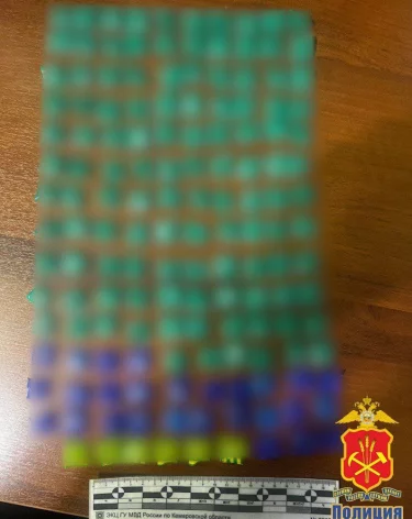 В Кузбассе у иностранца-нелегала нашли более 860 свёртков с наркотиками  