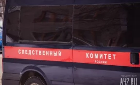 В Прокопьевске за разбойное нападение понесёт наказание житель Киселёвска