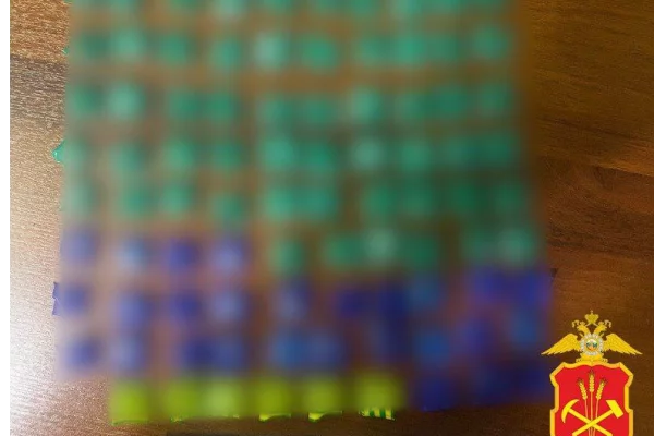 В Кузбассе у иностранца-нелегала нашли более 860 свёртков с наркотиками  