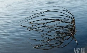 Мэр Юрги прокомментировал уход понтонного моста под воду