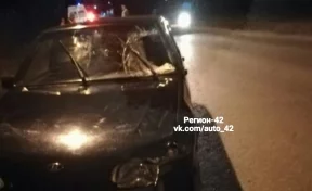Ночью в Кемерове автомобиль насмерть сбил пешехода
