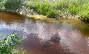 Прокуратура проверит сообщения о загрязнении золотодобытчиками рек в Тисульском районе