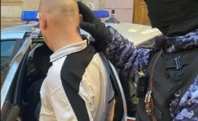 В Санкт-Петербурге задержали севшего на трон в Эрмитаже мужчину