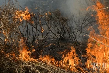 Фото: В МЧС назвали самые пожароопасные российские регионы 1
