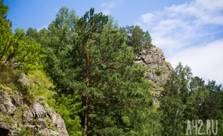 Прохор и Пармен: приметы и запреты на 10 августа