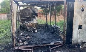 В результате пожара в Самарской области погибли 2 ребёнка