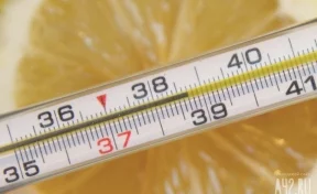 В Кузбассе 17,2 тысячи жителей заболели ОРВИ за неделю