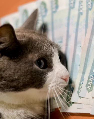 Пансионат в кузбасском городе выставили на продажу за 70 млн рублей