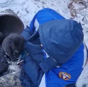 Фото: В Кузбассе спасли щенка, который застрял в трубе теплотрассы 1