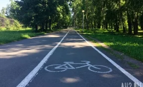Кузбассовцы просят власти оборудовать велодорожки по всему региону