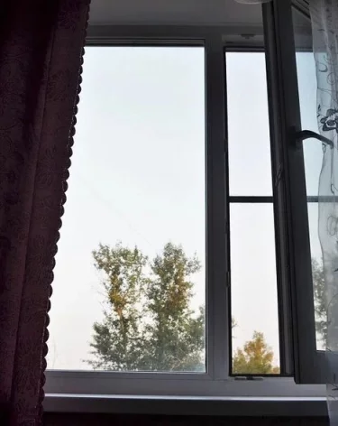 Фото: А42.RU