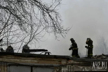 Фото: В МЧС рассказали подробности пожара на территории кемеровского Ботанического сада 2