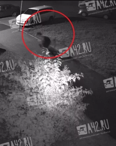 Фото, видео: A42.RU