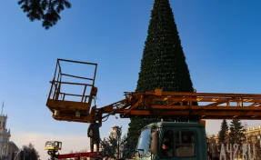В центре Кемерова начали разбирать новогоднюю ель