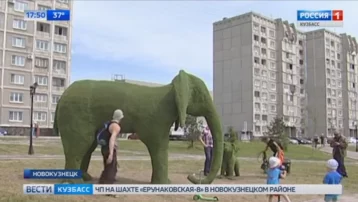Фото: В новокузнецком сквере появились Слон и Моська 1
