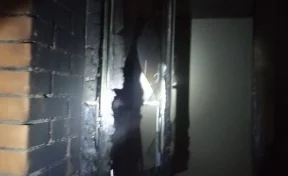 В Улан-Удэ салют попал в квартиру на 9 этаже, пожар попал на видео
