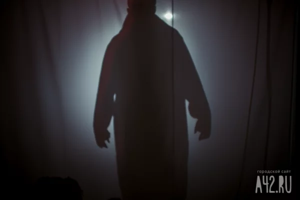 Кемеровчанину, насиловавшему свою 13-летнюю падчерицу, определили срок