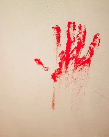 64-летняя женщина убила любовника, который хотел её бросить после секса в парке