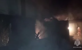В Псковской области на пожаре погибли двое детей
