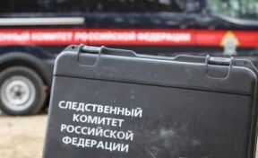 В СК прокомментировали убийство 14-летней девочки в Ульяновской области